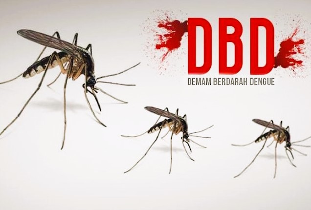 Demam Berdarah Dengue : Gejala, Pencegahan dan Pengobatan